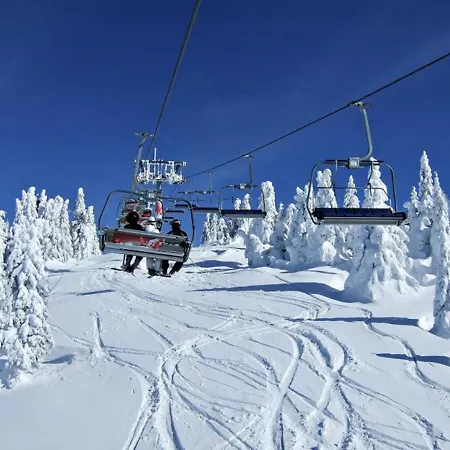 Nera - U Kraljevim Cardacima Kopaonik