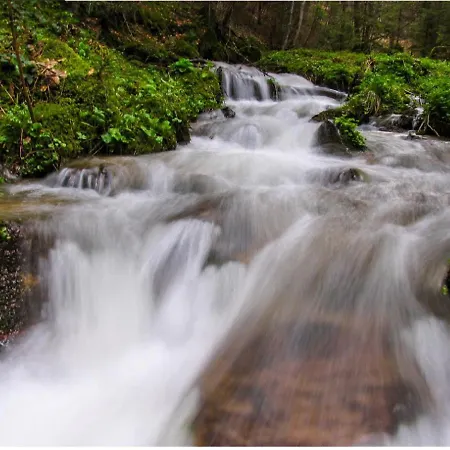 Nera - U Kraljevim Cardacima