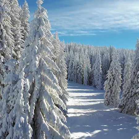 Nera - U Kraljevim Cardacima Kopaonik