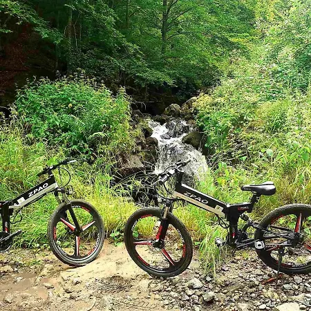 Lägenhet Nera - U Kraljevim Cardacima Kopaonik