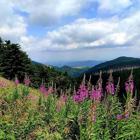 Nera - U Kraljevim Cardacima Lägenhet