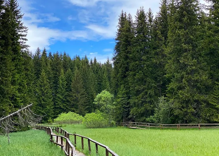 Nera - U Kraljevim Cardacima 公寓