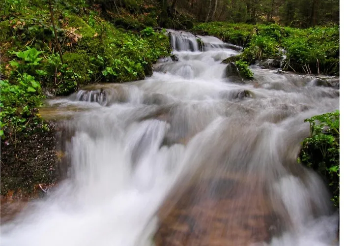 Nera - U Kraljevim Cardacima