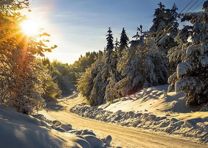 公寓 Nera - U Kraljevim Cardacima *