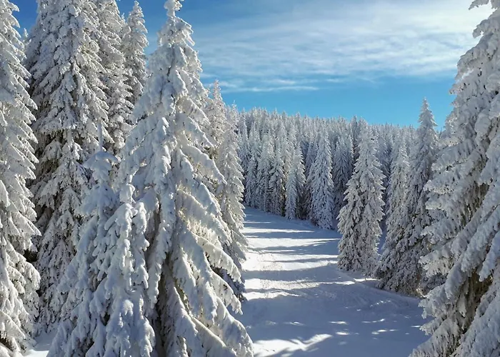 Nera - U Kraljevim Cardacima 科帕奥尼克