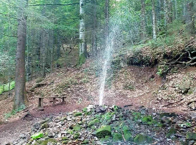 公寓 Nera - U Kraljevim Cardacima 科帕奥尼克