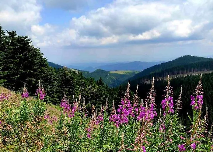 Nera - U Kraljevim Cardacima 公寓